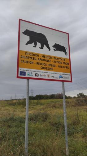 Προειδοποιητική πινακίδα για διασχίσεις άγριας πανίδας_LIFE AmyBear_ Περιοχή Αμυνταίου